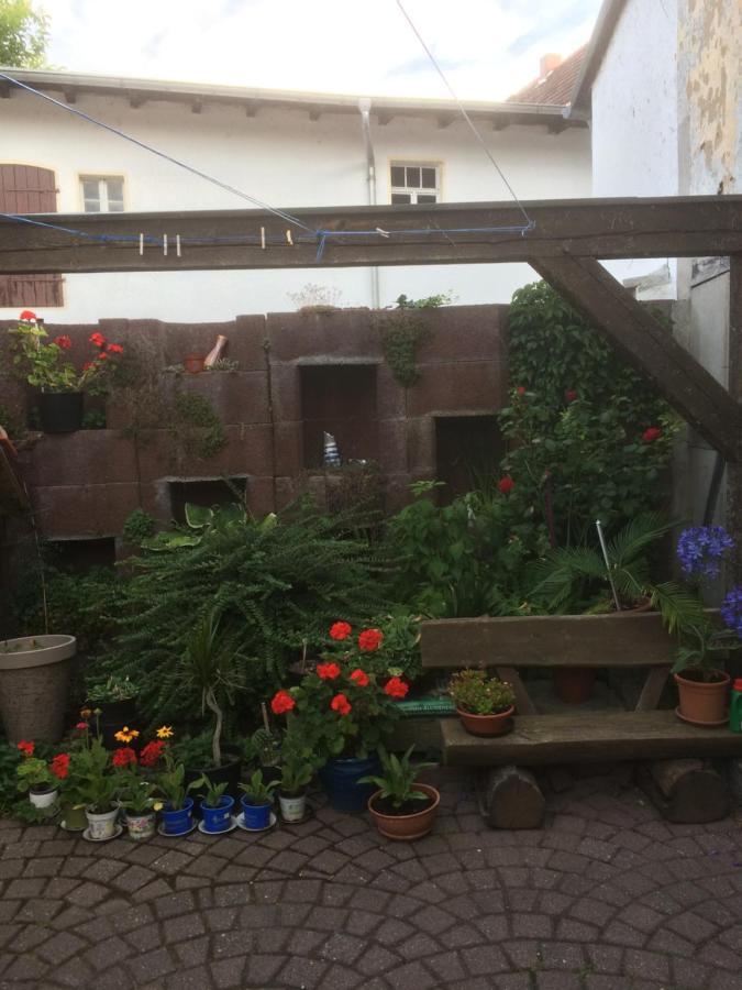 Otterbau Apartamento Belgern-Schildau Exterior foto